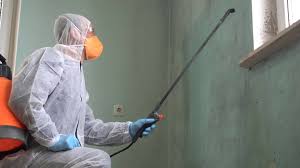 Best Black Mold Removal  in Millport, AL